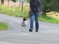 IMG_3204.JPG