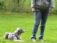 IMG_3245.JPG