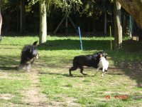 dusty, zero und co 017.jpg