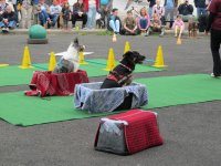 IMG_3094.JPG