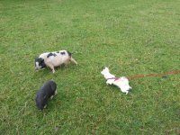 20121017_104138.jpg