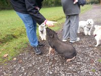 20121017_105724.jpg