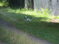 IMG_1046.JPG
