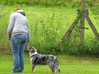 IMG_3243.JPG