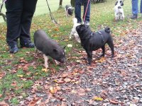 20121017_105126.jpg