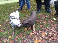 20121017_105353.jpg