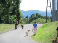 IMG_1016.JPG