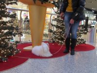IMG_1596.JPG
