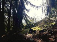 Trailer-Wanderung 03.10 (15).jpg