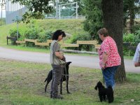 IMG_0993.JPG