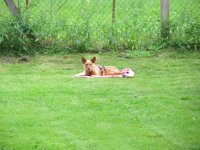IMG_3193.JPG