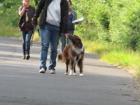IMG_3211.JPG