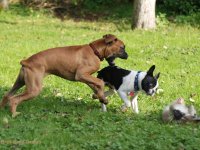DSC_0475 Kopie.jpg