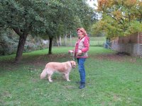 IMG_2887.JPG