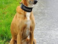 donna.jpg