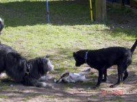 dusty, zero und co 007.jpg