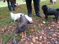 20121017_105348.jpg