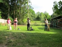 IMG_0959.JPG