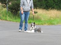 IMG_3266.JPG