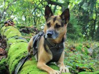 Lucy - Wanderung 03.10 (45).jpg
