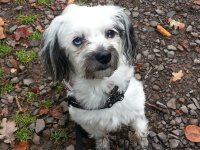 20121017_105022.jpg