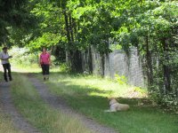 IMG_1053.JPG