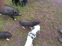 20121017_103650.jpg