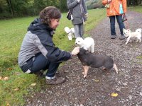 20121017_105755.jpg
