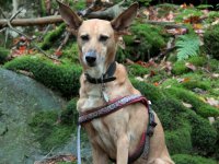 Donna - Wanderung 03.10 (48).jpg