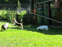 IMG_1234.JPG
