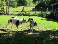 IMG_1237.JPG