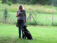 IMG_3223.JPG