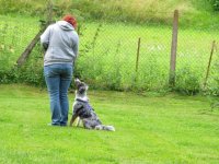 IMG_3241.JPG