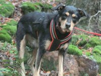 Bandit - Wanderung 03.10 (49).jpg