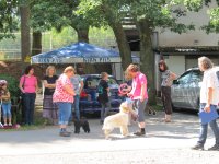 IMG_1003.JPG