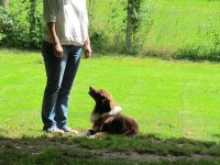 IMG_3160.JPG