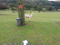 20121017_101751.jpg