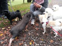 20121017_105521.jpg