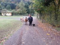 20121017_111816.jpg
