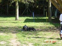 dusty, zero & co 023.jpg