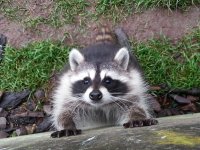 20121017_104542.jpg