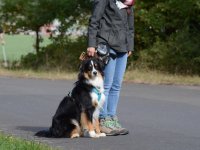 DSC_0816.JPG