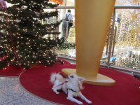 IMG_1601.JPG