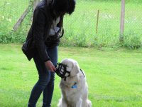 IMG_3239.JPG