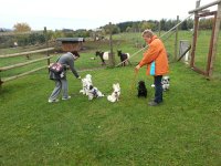 20121017_101446.jpg