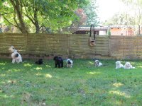 IMG_1228.JPG